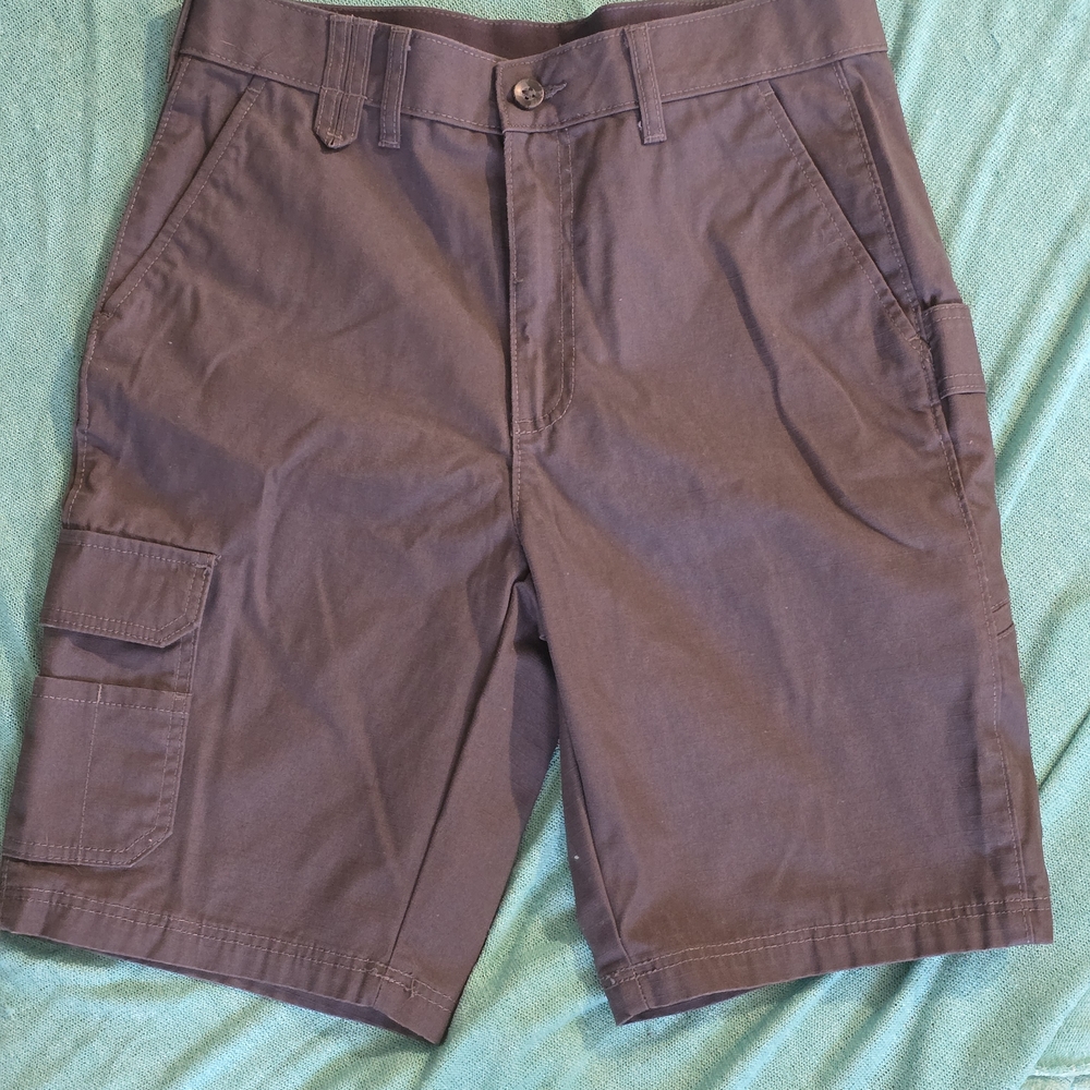 Brahma Men's Cargo Shorts in Dark Brown